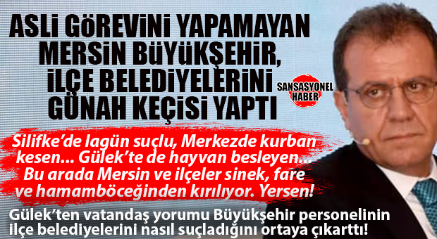 MERSİN SİNEĞE TESLİM OLURKEN SEÇER VE PERSONELİNDEN TOPU İLÇE BELEDİYELERİNE ATMA SKANDALI: GÜLEK’TEKİ VATANDAŞ DEŞİFRE ETTİ, “COĞRAFYA KADER” ACZİYETİ SONRASI SIRA İLÇE BELEDİYESİNİ SUÇLAMAYA GELDİ!