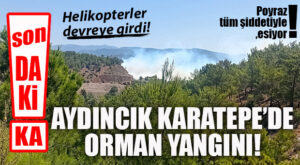 SON DAKİKA… AYDINCIK KARATEPE’DE ORMAN YANGINI: HELİKOPTER VE UÇAKLAR DEVREYE GİRDİ