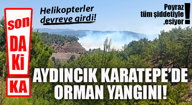 SON DAKİKA… AYDINCIK KARATEPE’DE ORMAN YANGINI: HELİKOPTER VE UÇAKLAR DEVREYE GİRDİ