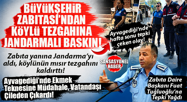 BİR BU KALDIYDI, BU DA OLDU: AYVAGEDİĞİ’NDE KÖYLÜNÜN AÇTIĞI MISIR TEZGAHINA BÜYÜKŞEHİR ZABITASI’NIN JANDARMALI MÜDAHALESİ BÜYÜK TEPKİ ÇEKTİ