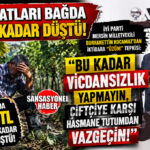MALİYETİ 30 TL, SATIŞI 11 TL! İYİ PARTİ MERSİN MİLLETVEKİLİ BURHANETTİN KOCAMAZ’DAN İKTİDARA “ÜZÜM” TEPKİSİ: “BU KADAR VİCDANSIZLIK YAPMAYIN!”