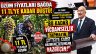 MALİYETİ 30 TL, SATIŞI 11 TL! İYİ PARTİ MERSİN MİLLETVEKİLİ BURHANETTİN KOCAMAZ’DAN İKTİDARA “ÜZÜM” TEPKİSİ: “BU KADAR VİCDANSIZLIK YAPMAYIN!”