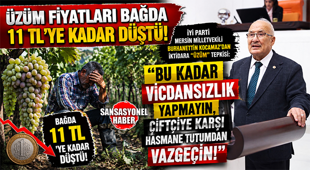 MALİYETİ 30 TL, SATIŞI 11 TL! İYİ PARTİ MERSİN MİLLETVEKİLİ BURHANETTİN KOCAMAZ’DAN İKTİDARA “ÜZÜM” TEPKİSİ: “BU KADAR VİCDANSIZLIK YAPMAYIN!”
